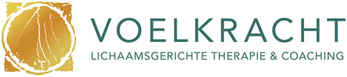 Logo Voelkracht